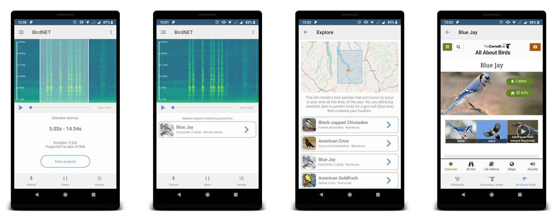 BirdNET app screenshots showing bird sound identification